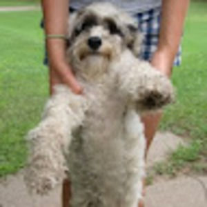 Meet your Posher, Zoe